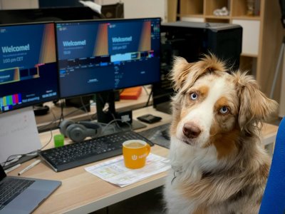 Mag je hond eigenlijk gewoon mee naar je werk?